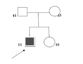 family genogram