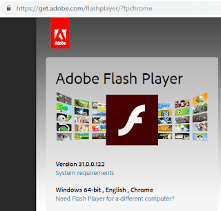 Adobe Flash Player enbale chrome update