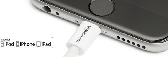 AmazonbasicBAppleBUSBBcable