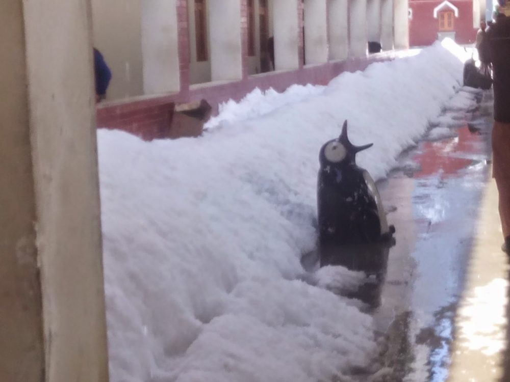 The sculpture of the penguin covered by the snow