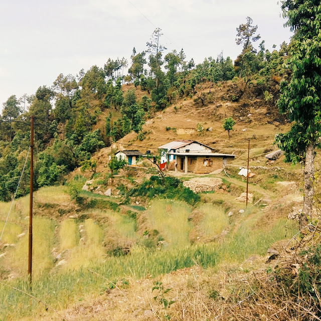 Local houses in Pithoragarh city, Uttarakhand