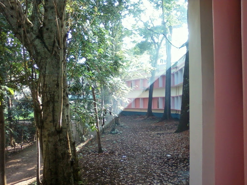 sun light coming from building