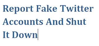 ReportBFakeBTwitterBAccountsBAndBShutBItBDown