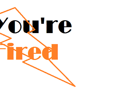 WhyBemployeeBgetBfired