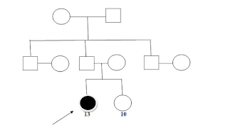 family genogram