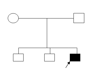 familytree