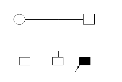 Family tree