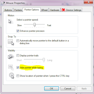 untick hide to fix Mouse Pointer Disappears on Chrome