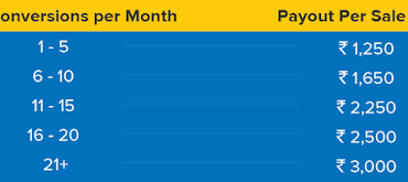 hostgatorBconversionBsaleBbudget