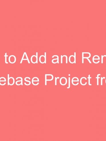 how to add and remove firebase project from console