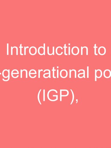 introduction to inter generational poverty igp households and families