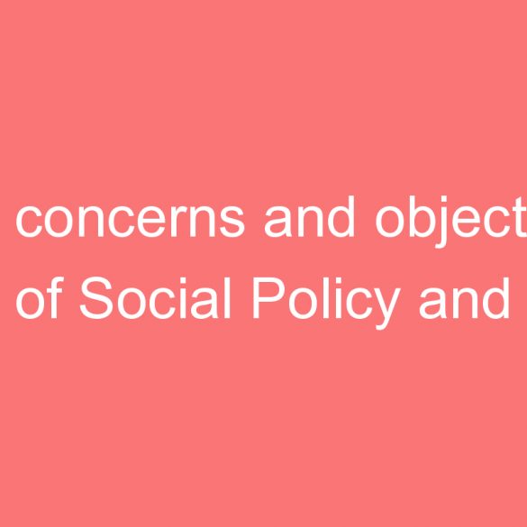 key concerns and objectives of social policy and planning