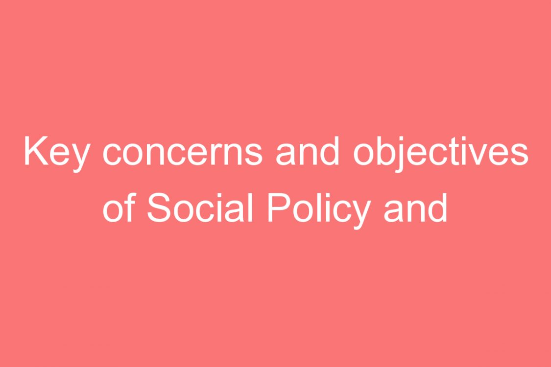 key concerns and objectives of social policy and planning