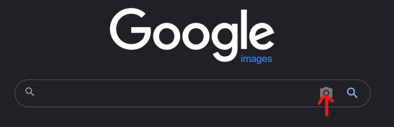 Image search in google